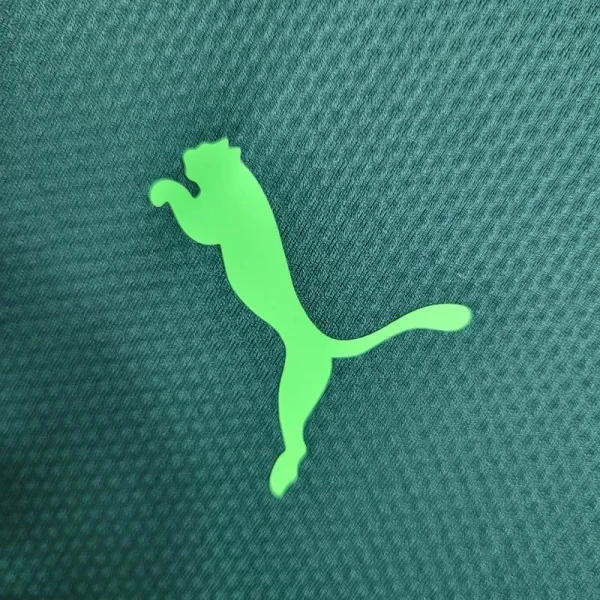 2020-2021 Palmeiras Second retro kit - Image 2