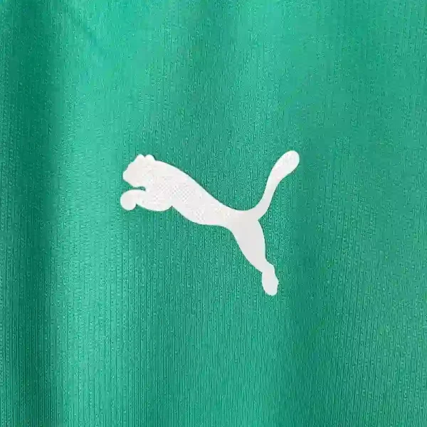 2019-2020 Palmeiras Third retro kit - Image 2