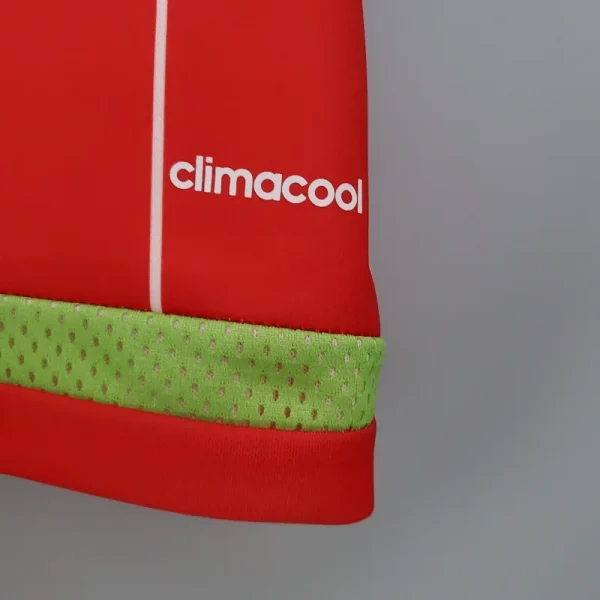 2015-2016 Wales Jersey retro kit - Image 5